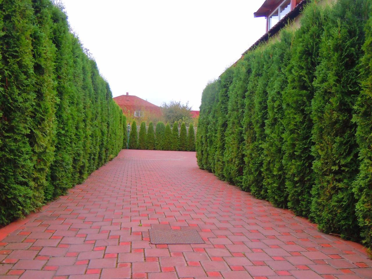 Pensiunea Marina Кимпіна Екстер'єр фото